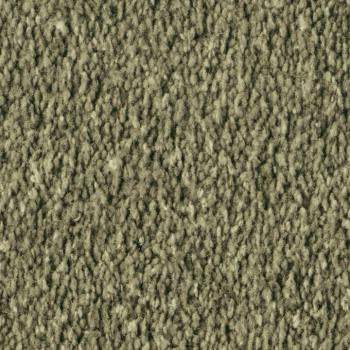 Vorwerk Alba 4H84 grün – Draufsicht Velours Teppichboden 4 m breit